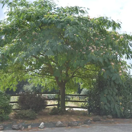 بيت للعطل De La Foye - La Couleur Des Pres *