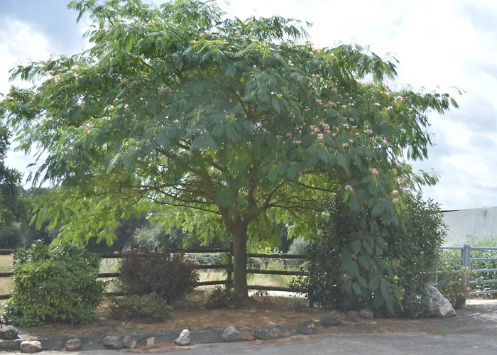 Hébergement de vacances De La Foye - La Couleur Des Prés *