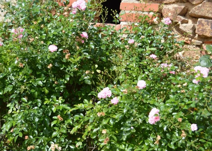 Hébergement de vacances De La Foye - La Couleur Des Prés *